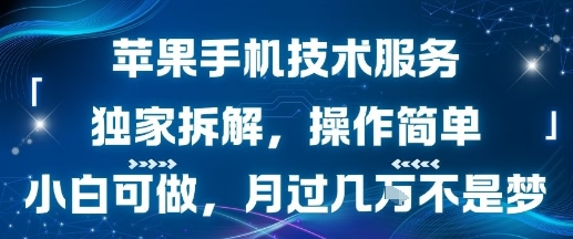苹果手机技术服务,独家拆解,操作简单,小白可做,月过1W不是梦-悟空知识星球