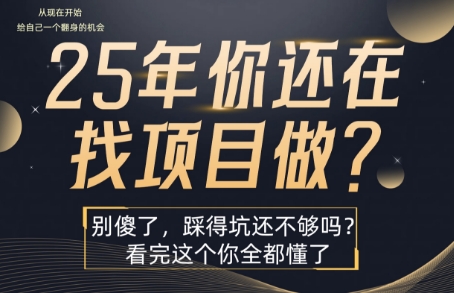 25年，你还在疯狂的找项目吗？别傻了，看完这个你都懂了【揭秘】-悟空知识星球