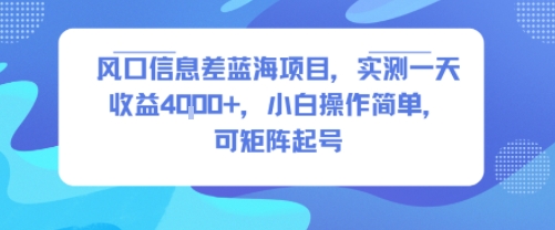 风口信息差蓝海项目，实测一天收益4k+，小白操作简单，可矩阵起号-悟空知识星球