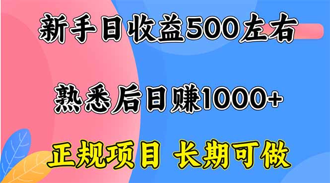 （16132期）新手日收益500+ 正规项目 长期可做-悟空知识星球