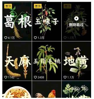 图片[2]-抖音中草药赛道，用AI做中草药故事视频，45条作品涨粉13W，橱窗带货猛猛出单-悟空知识星球