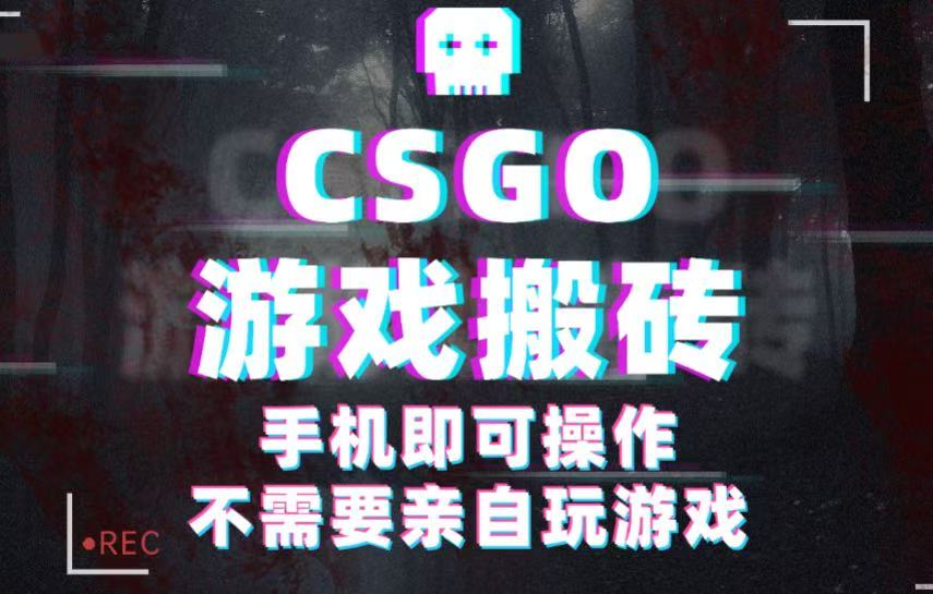 CSGO游戏挂机捡漏，单日扫货500+，年底小高峰上车可吃肉，手机即可操作兼职副业-悟空知识星球