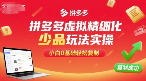 拼多多虚拟精细化少品玩法实操，小白0基础轻松复制-悟空知识星球