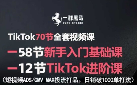 TikTok全套视频课，新手入门+进阶课，短视频ADS-GMV MAX投流打品，日销破1000单打法-悟空知识星球