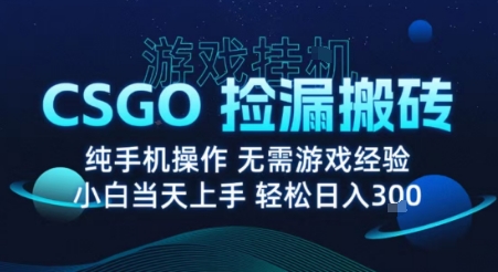 8月最新游戏搬砖，CSGO纯挂G，不需要玩游戏，实现真挂G，月入1W+【揭秘】-悟空知识星球