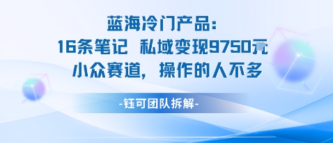 蓝海项目：16条笔记私域变现9750米小众赛道操作的人不多-悟空知识星球