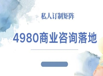 4980商业咨询师落地课程-ip运营高客单教程-悟空知识星球