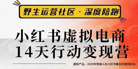 小红书虚拟电商14天变现训练营3.0，​虚拟产品，2025年普通人在小红书最后的搞钱机会-悟空知识星球