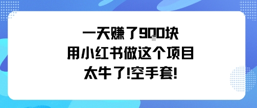 一天挣了9张用小红书做这个项目太牛了,空手套-悟空知识星球