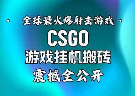 【年底大揭秘】基于全球最火爆的射击CSGO游戏挂G搬砖，日入5张+，震撼公开-悟空知识星球