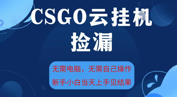 CSGO云挂G全自动捡漏，最新独家玩法，无需电脑操作，新手小白日入5张+【揭秘】-悟空知识星球