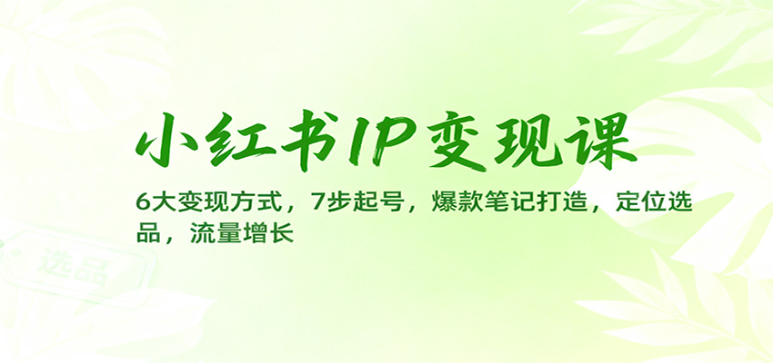 小红书IP变现课：6大变现方式，7步起号，爆款笔记打造，定位选品，流量增长-悟空知识星球