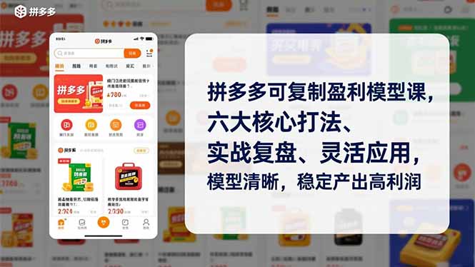 （16952期）拼多多可复制盈利模型课，六大核心打法、实战复盘、灵活应用，模型清晰，稳定产出高利润-悟空知识星球