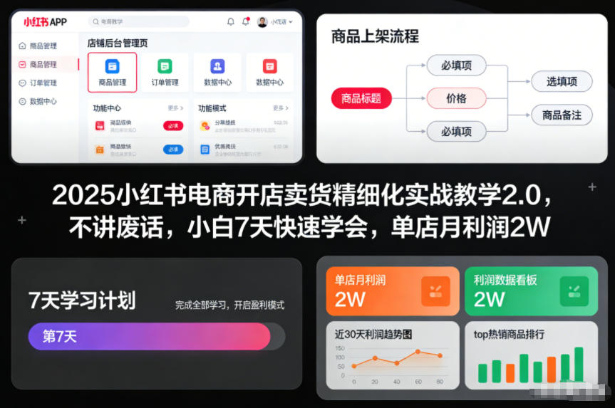 2025小红书电商开店卖货精细化实战教学2.0，不讲废话，小白7天快速学会，单店月利润2W-悟空知识星球