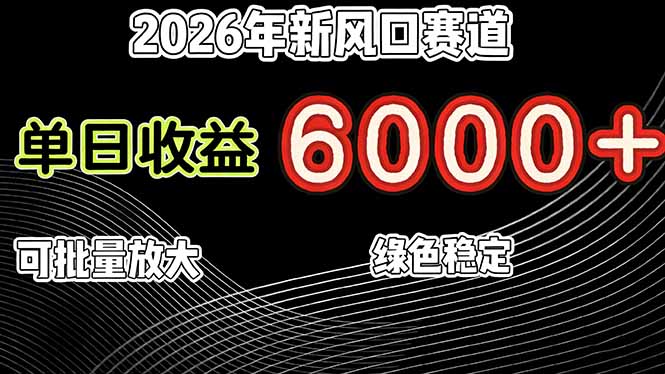 （17135期）2026年新风口赛道，当日6000+以上，可批量放大，月收入20万+，长期绿色稳定的项目-悟空知识星球