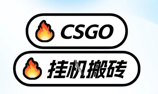 真全网独家CSGO挂G，最新玩法,单日捡漏1K+，不用电脑，不用打游戏【揭秘】-悟空知识星球