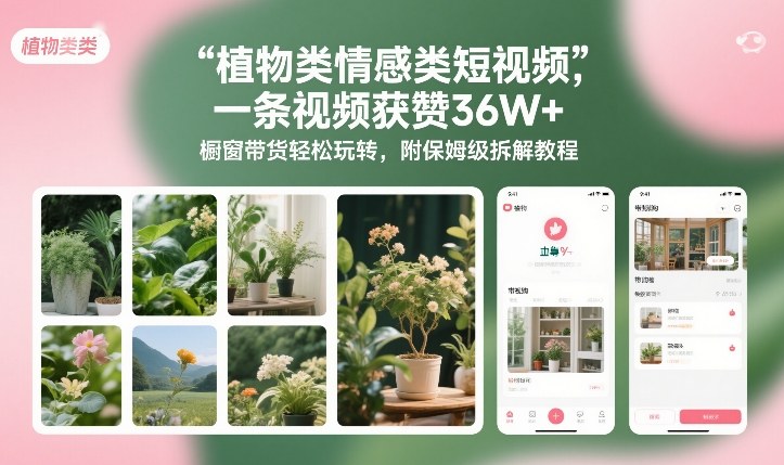 植物类情感类短视频，一条视频获赞36W+，橱窗带货轻松玩转，附保姆级拆解教程-悟空知识星球
