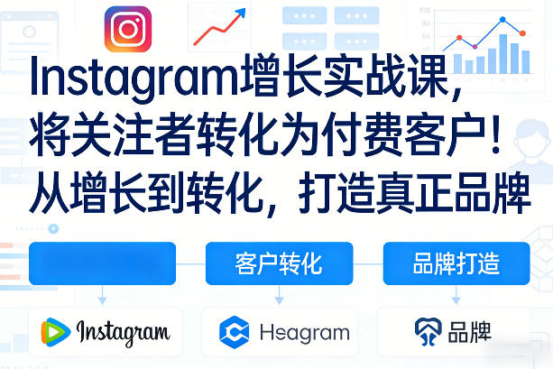 Instagram增长实战课，将关注者转化为付费客户！从增长到转化，打造真正品牌（双语字幕）-悟空知识星球
