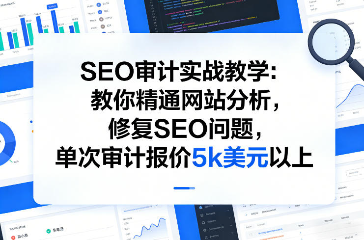 SEO审计实战教学：教你精通网站分析，修复SEO问题，单次审计报价5k美元以上-悟空知识星球