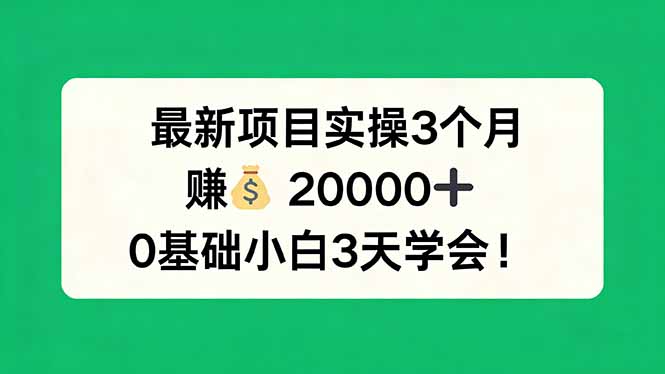 （17856期）最新项目实操3个月，赚钱20000+，0基础小白3天学会！-悟空知识星球