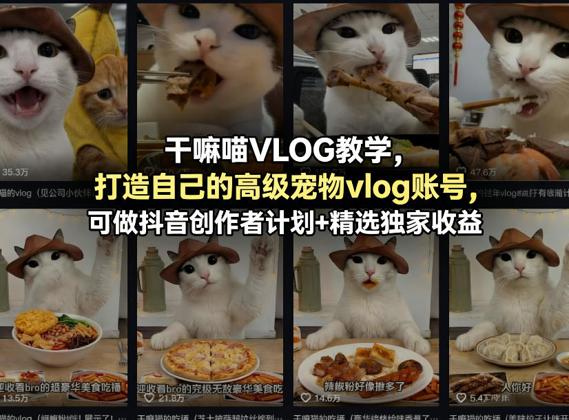 干嘛喵VLOG教学，打造自己的高级宠物vlog账号，可做抖音创作者计划+精选独家收益-悟空知识星球