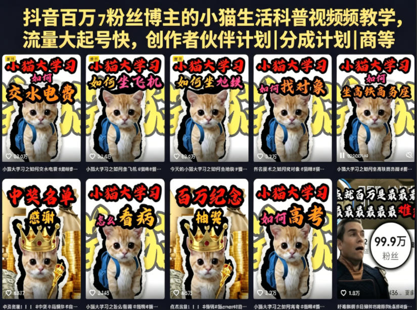 抖音百万粉丝博主的小猫生活科普视频教学,流量大起号快,创作者伙伴计划|分成计划|商单|收徒等-悟空知识星球