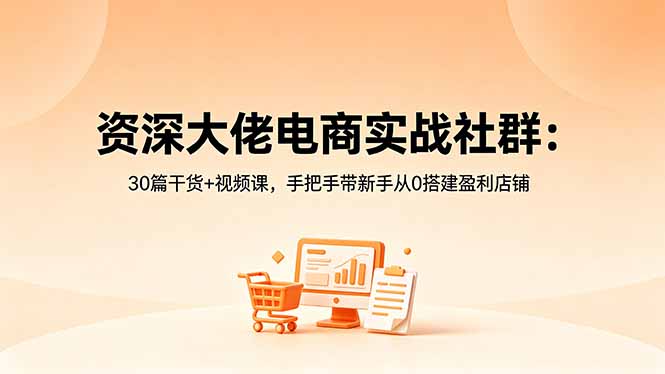 （18529期）资深大佬电商实战社群：30篇干货+视频课，手把手带新手从0搭建盈利店铺-悟空知识星球