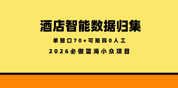 酒店智能数据归集，小众蓝海已经稳定半年之久，单窗口70+零成本矩阵开干【揭秘】-悟空知识星球