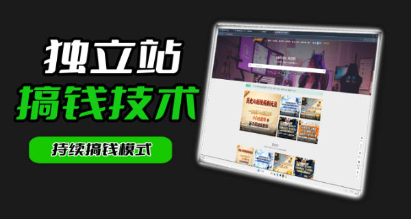 干货来袭！麦子甜带你吃透独立站｜从搭建到引流一站式教学《独立站》第一期-悟空知识星球