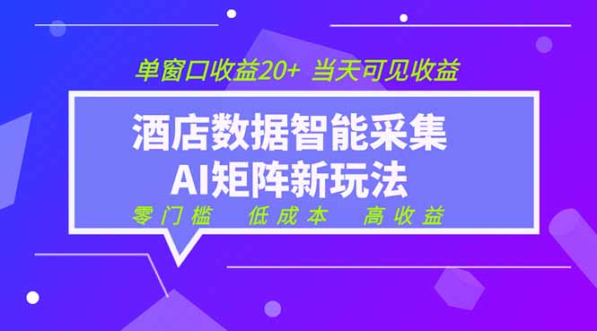 （19041期）2026酒店数据采集ai智能矩阵新风口  低成本   高收益   当天见收益   单窗口20+-悟空知识星球