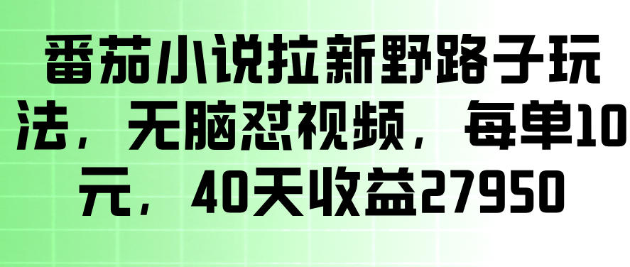番茄小说拉新野路子玩法,无脑怼视频,玩法简单、见效快,每单10米,40天收益27950-悟空知识星球