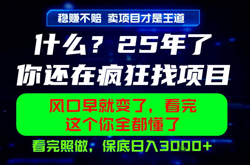 26年,请不要疯狂的找项目做了!卖项目才是真的稳賺不赔,看完照做,保底日入1k+【揭秘】-悟空知识星球