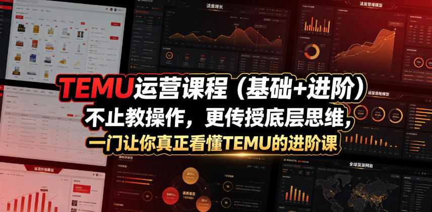 TEMU运营课程（基础+进阶），不止教操作，更传授底层思维，一门让你真正看懂TEMU的进阶课-悟空知识星球