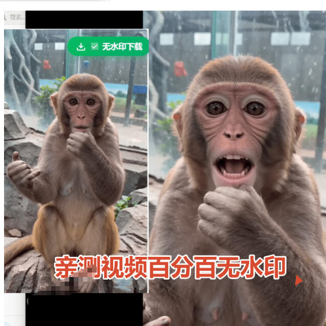 图片[2]-豆包无水印下载终于来了！支持豆包图片/视频，目前唯一免费使用的插件，浏览器拓展-悟空知识星球