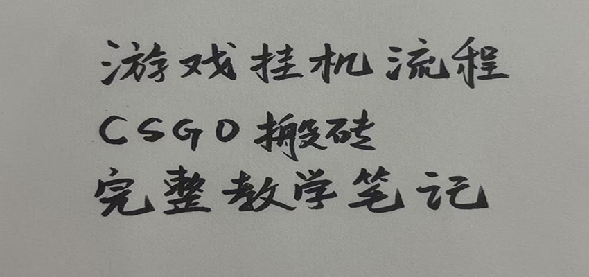 游戏挂机全流程笔记分享,CSGO游戏搬砖,小白看了当天学会见收益-悟空知识星球