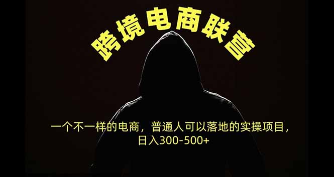 （20702期）跨境电商联营，一个不一样的电商，普通人可操作日入300-500+-悟空知识星球
