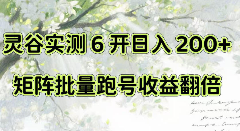 一台电脑就能做！灵谷实测6开日入200+，矩阵批量跑号收益翻倍【揭秘】-悟空知识星球