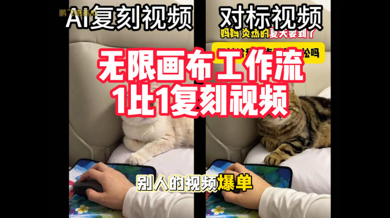 宠物带货视频复刻，无限画布工作流1比1，不用拍摄、不用布景、不用真人出镜，几分钟就能做出一条专业带货视频-悟空知识星球