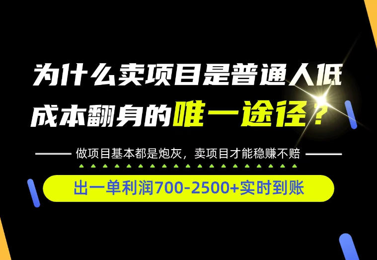 普通人如何靠互联网賺取自己的第一桶金！全类目实操型教学，看完你全都懂了！【揭秘】-悟空知识星球